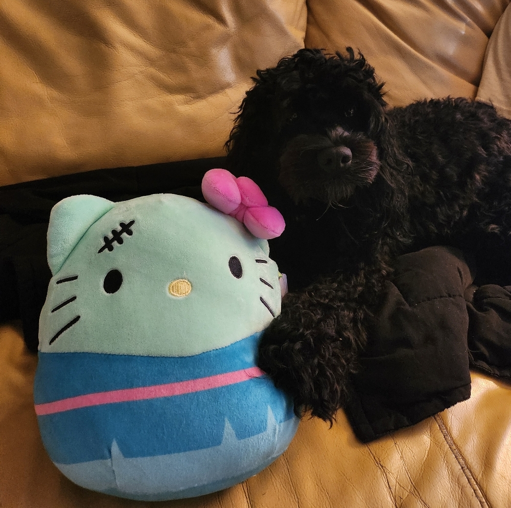 Meet your Posher, Emily